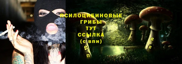 гашик Абаза