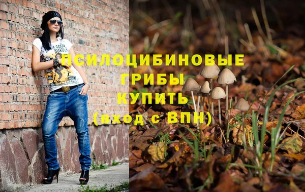 spice Абдулино