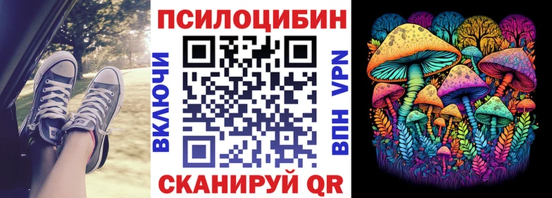 Галлюциногенные грибы Cubensis  blacksprut ссылки  Питкяранта 